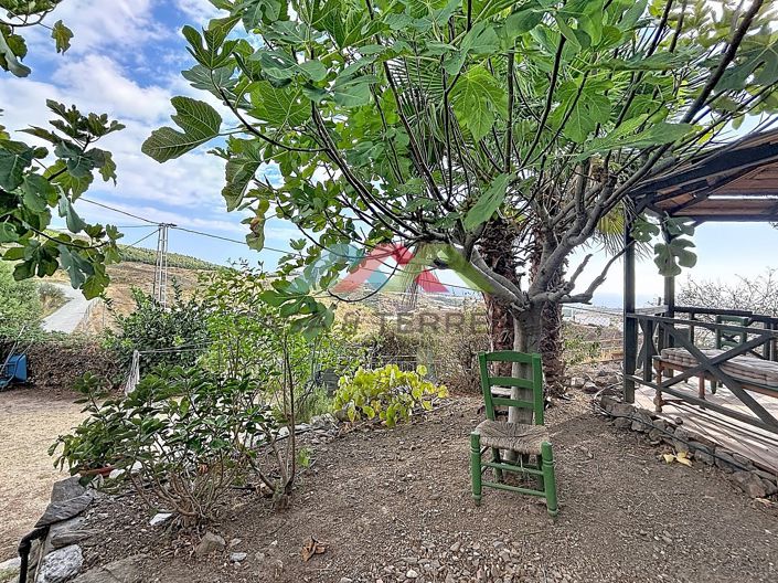 Image No.49-3 Bed Country House for sale