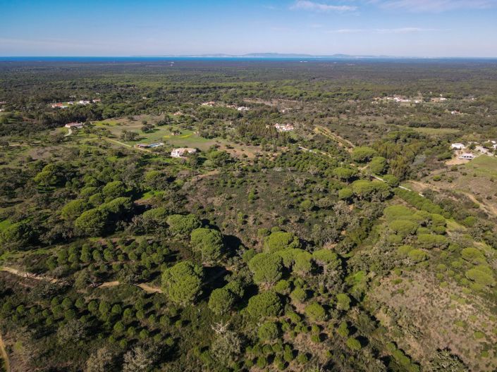 Image No.4-Plot for sale