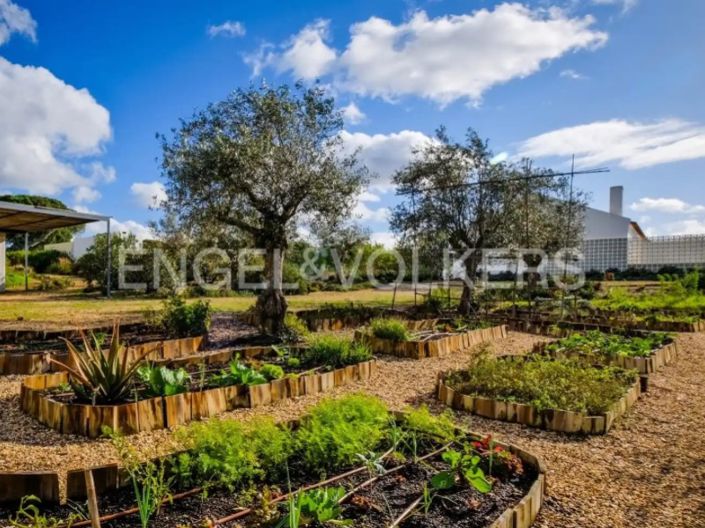 Image No.8-5 Bed House for sale