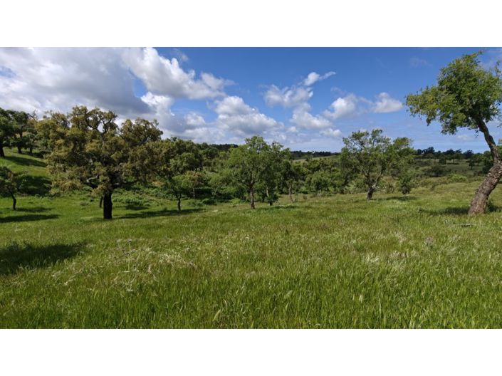Image No.20-Plot for sale