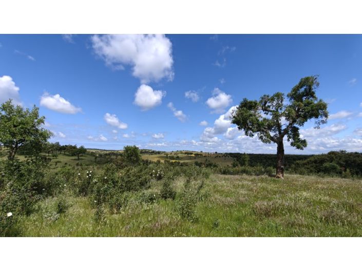 Image No.21-Plot for sale