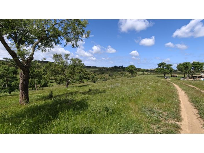 Image No.22-Plot for sale
