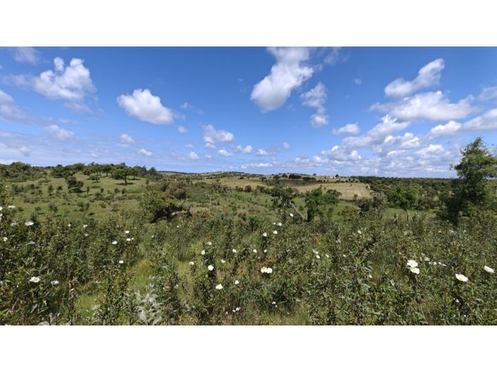Image No.23-Plot for sale