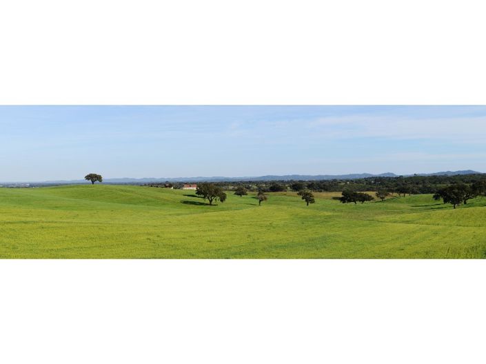 Image No.25-Plot for sale