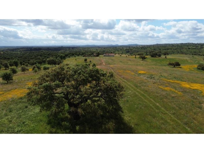 Image No.6-Plot for sale