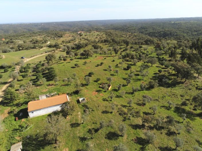 Image No.17-Plot for sale