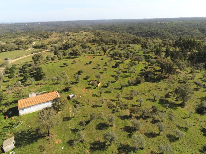 Image No.18-Plot for sale