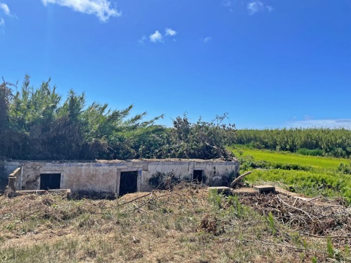Image No.4-Plot for sale
