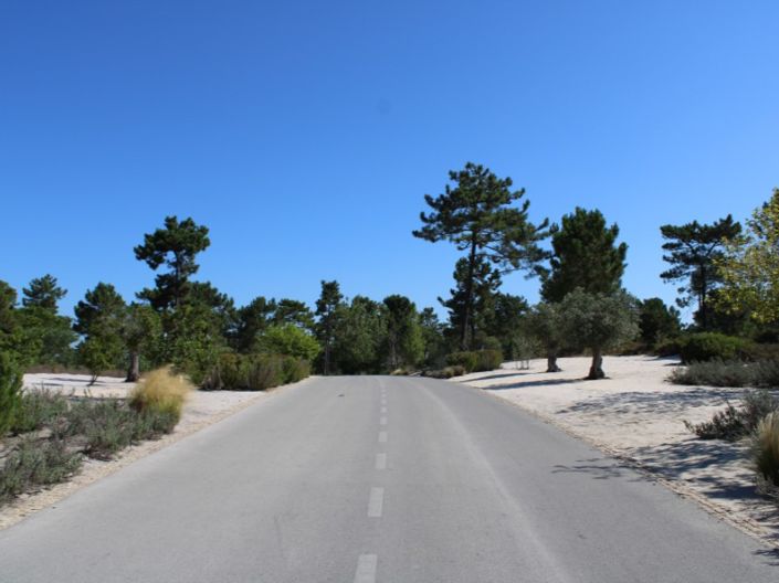 Image No.6-Plot for sale