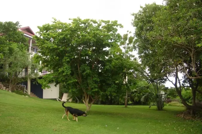 Image No.22-3 Bed House for sale