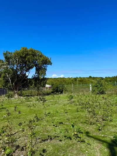 Image No.2-Land for sale
