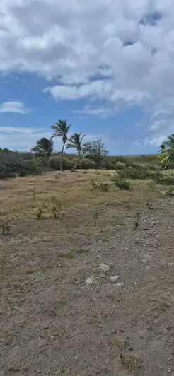 Image No.2-Land for sale