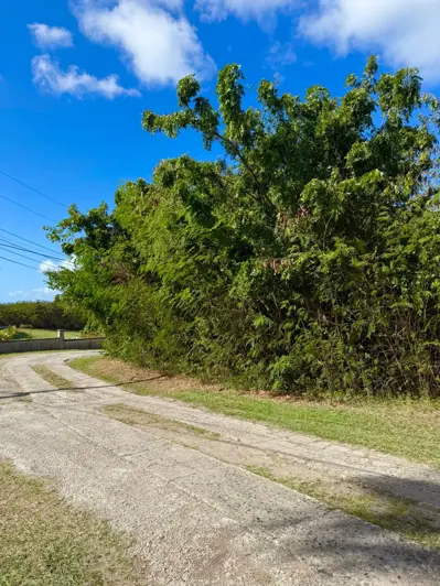 Image No.2-Land for sale
