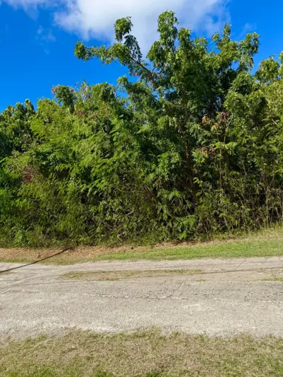 Image No.3-Land for sale