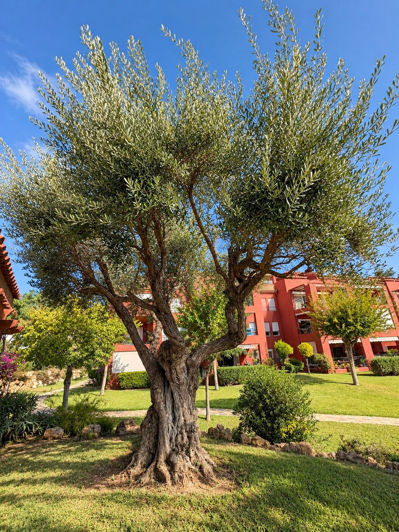 Image No.30-2 Bed Apartment for sale