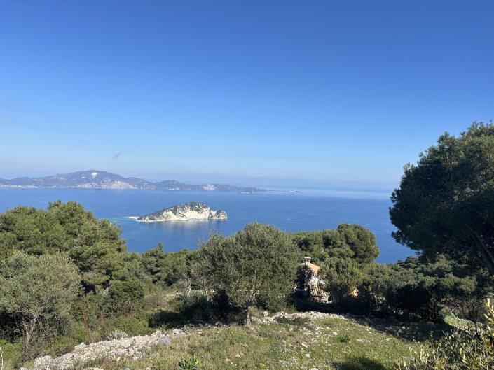 Image No.5-Terre de 1 chambre à vendre à Zante