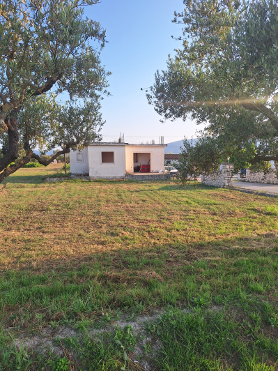 Image No.3-Maison à vendre à Zante