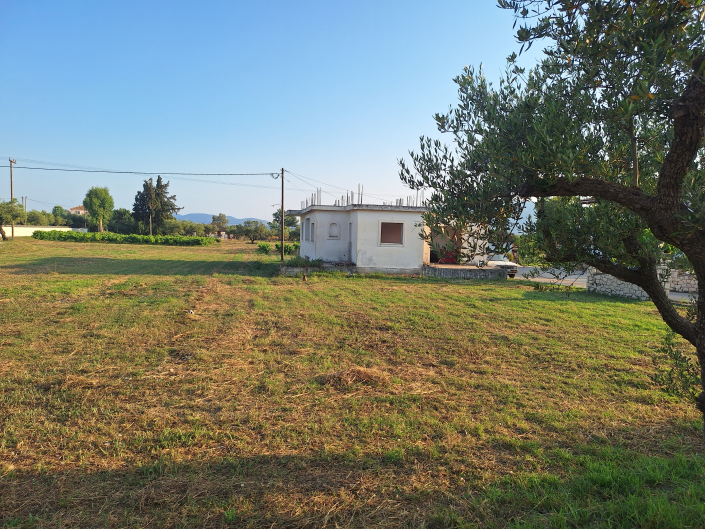Image No.2-floorplan-2