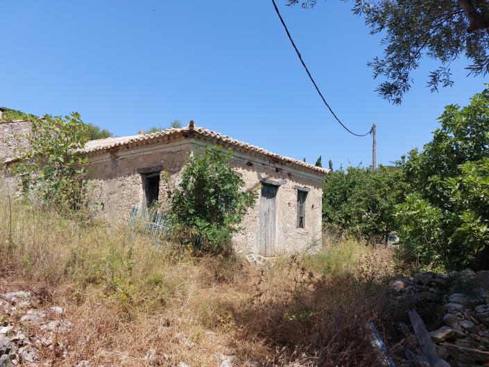 Image No.4-Maison à vendre à Zante