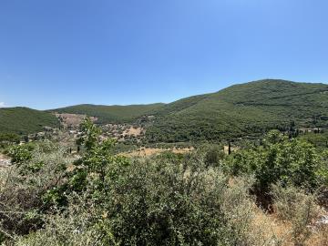 IMG_8719