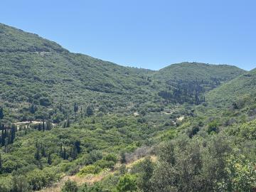 IMG_8738