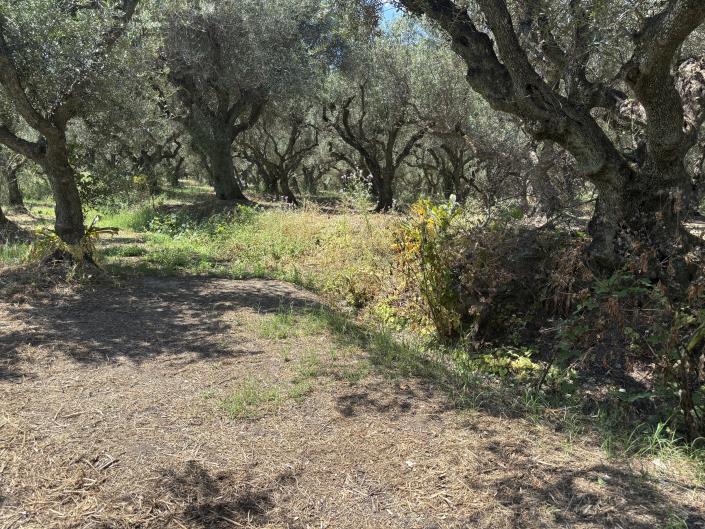 Image No.4-Land for sale