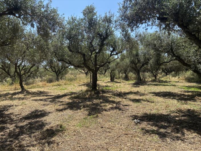 Image No.5-Land for sale