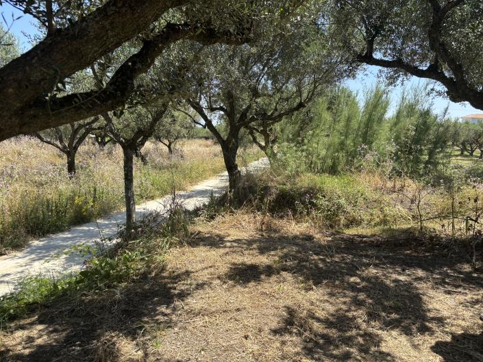Image No.7-Land for sale