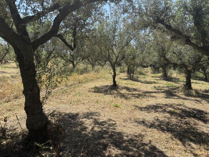 Image No.9-Land for sale