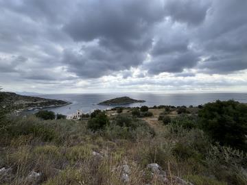 IMG_8941