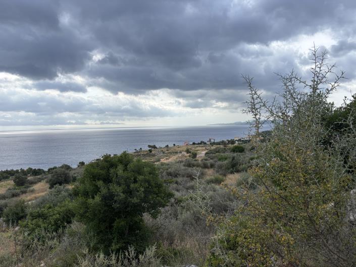 Image No.11-Land for sale