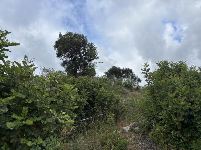 Image No.17-Land for sale