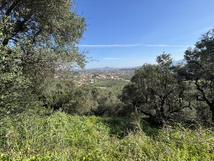 Image No.3-Land for sale
