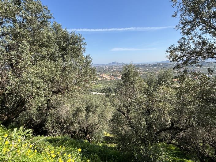 Image No.5-Land for sale