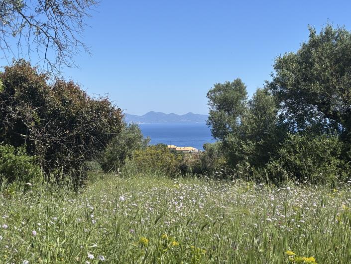 Image No.7-Land for sale