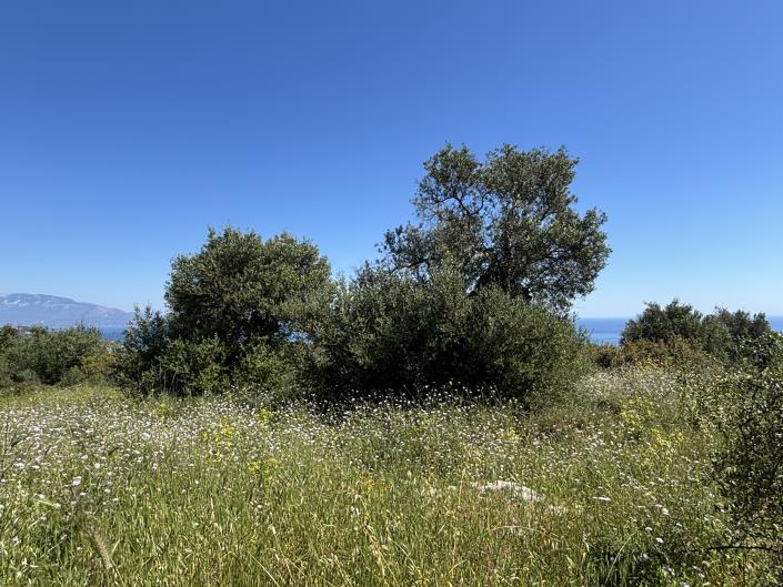 Image No.8-Land for sale