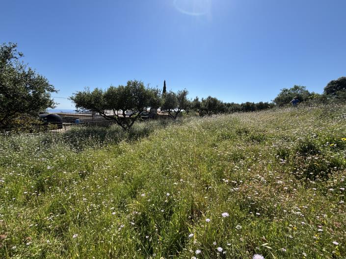 Image No.3-Land for sale