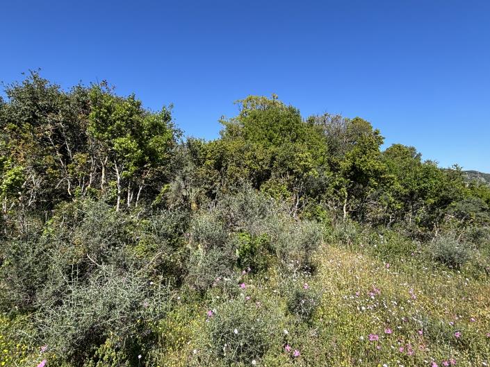 Image No.10-Land for sale