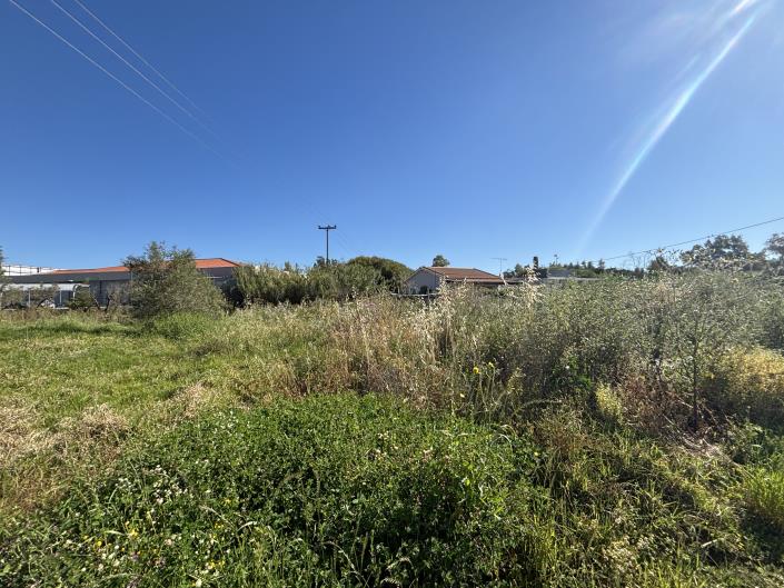 Image No.6-Commercial for sale