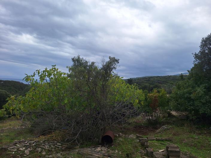 Image No.8-Land for sale