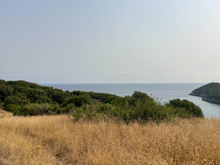 Image No.6-Terre à vendre à Zante