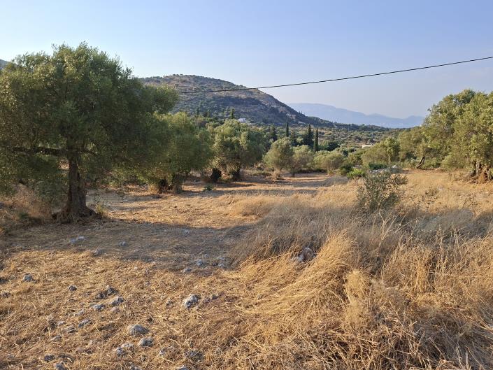 Image No.2-Land for sale