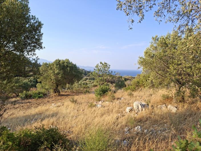 Image No.5-Land for sale