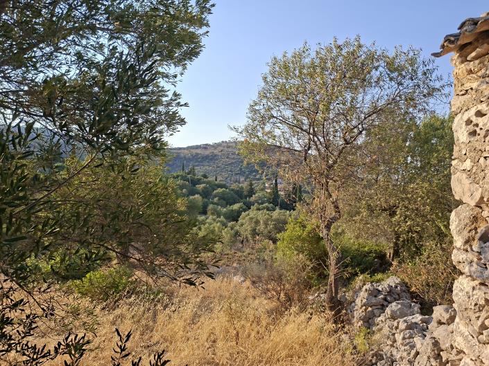 Image No.7-Land for sale