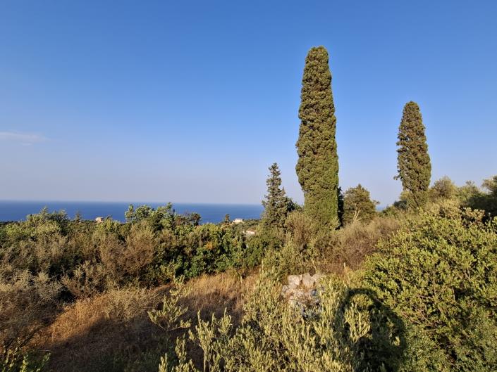 Image No.11-Land for sale