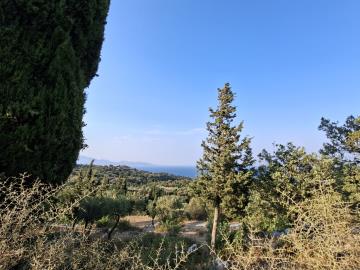 20260807_191150