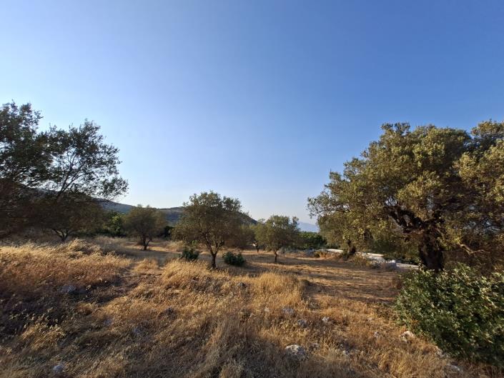 Image No.16-Land for sale