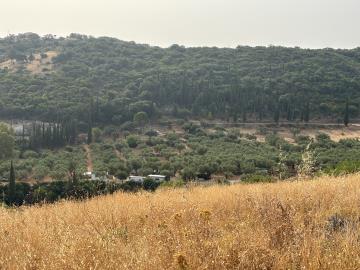 IMG_3008