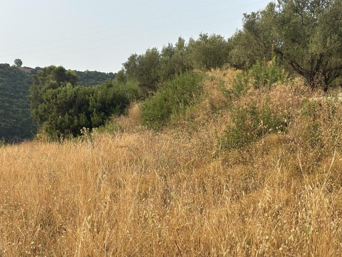 Image No.7-Land for sale