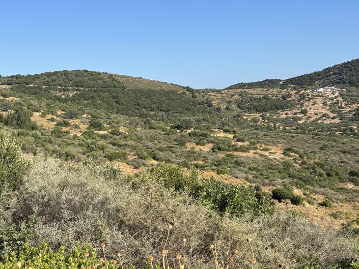 Image No.18-Land for sale